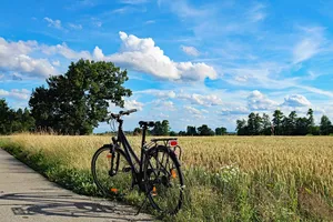 Photographe agréée Google Street View Trusted Visite virtuelle Montréal Quebec